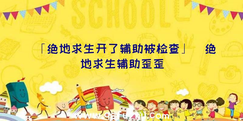 「绝地求生开了辅助被检查」|绝地求生辅助歪歪